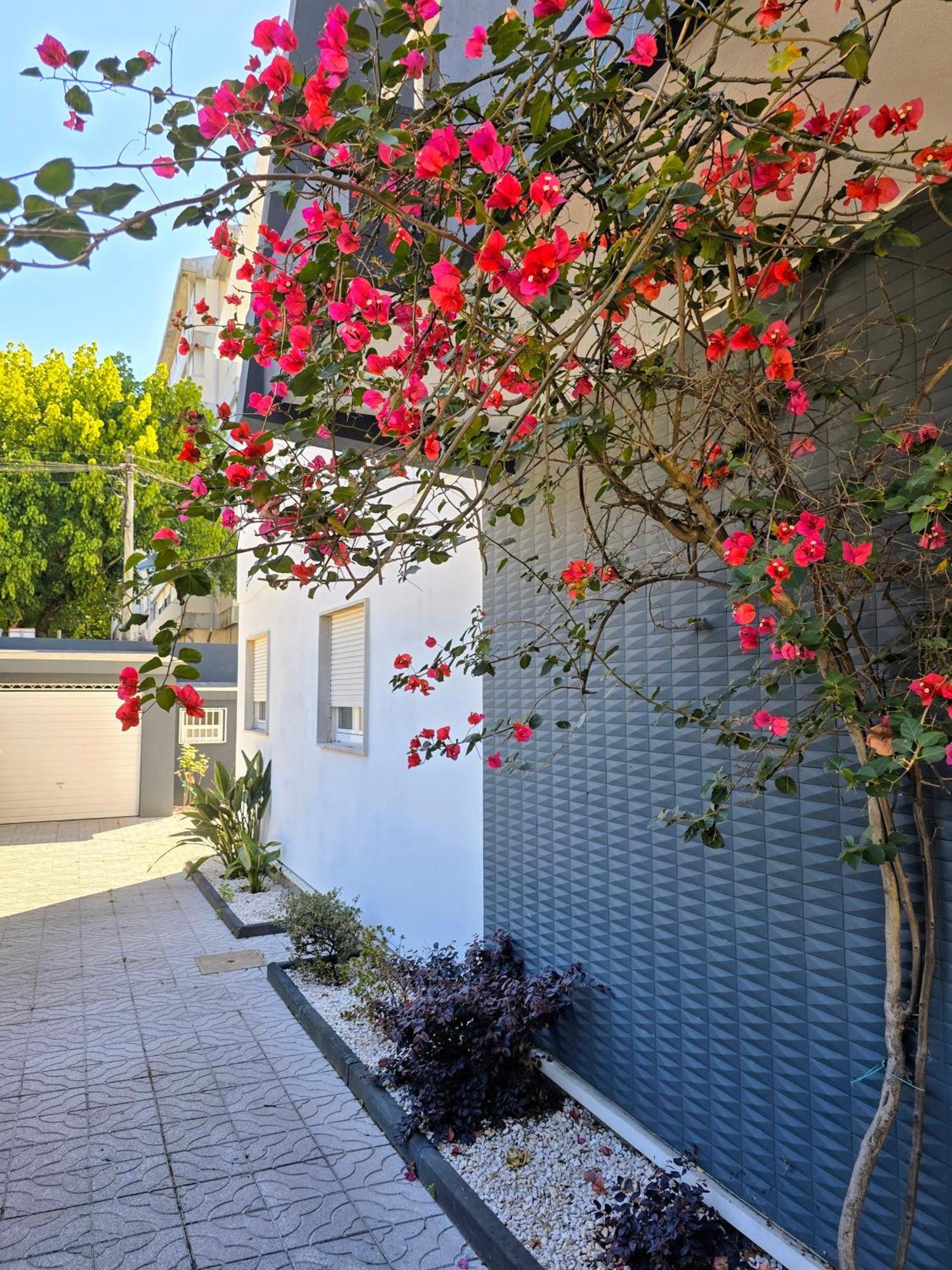 Casa Da Ana Villa Braga Ngoại thất bức ảnh